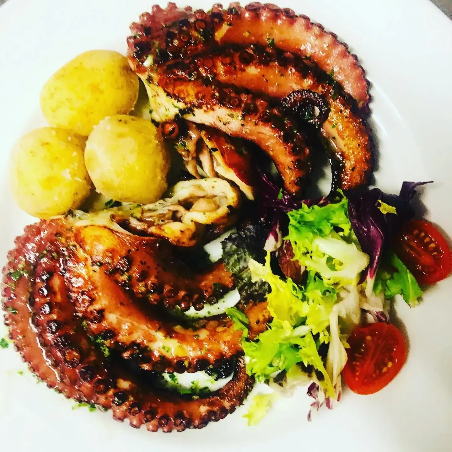 Tentáculos de pulpo a la parrilla con patatas y ensalada en un plato blanco.