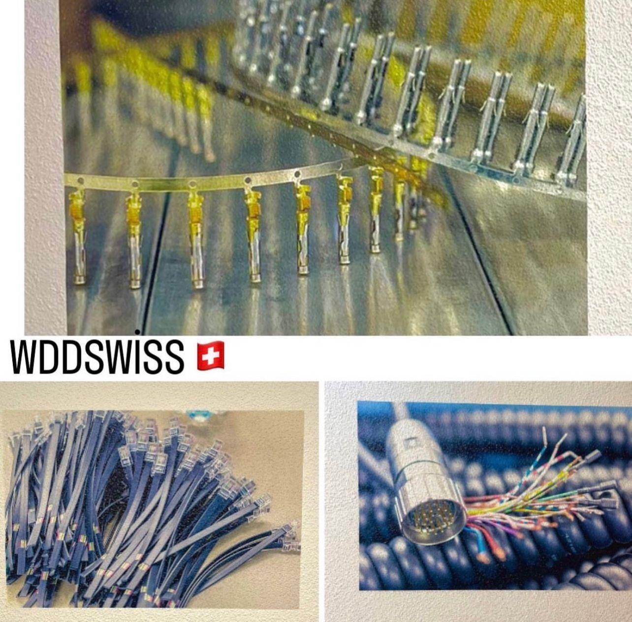 WDD Swiss GmbH