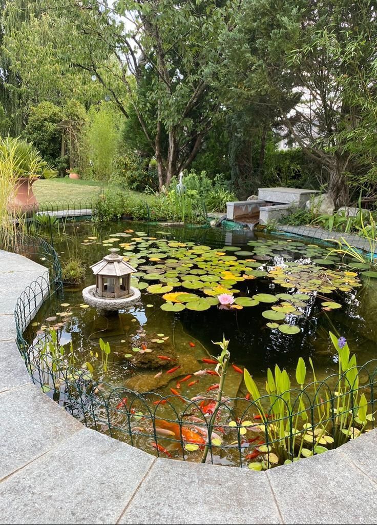 Etang et jardin