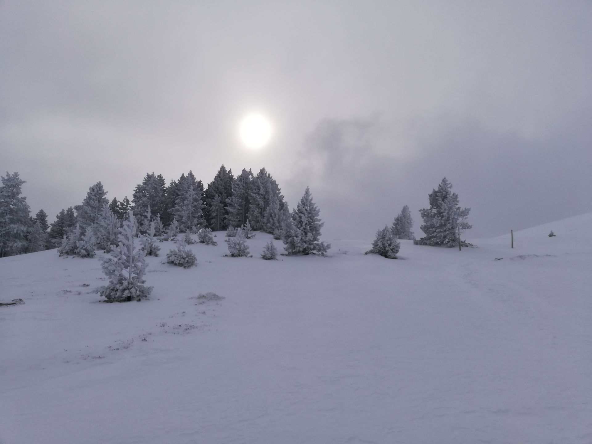 Piste de ski enneigée
