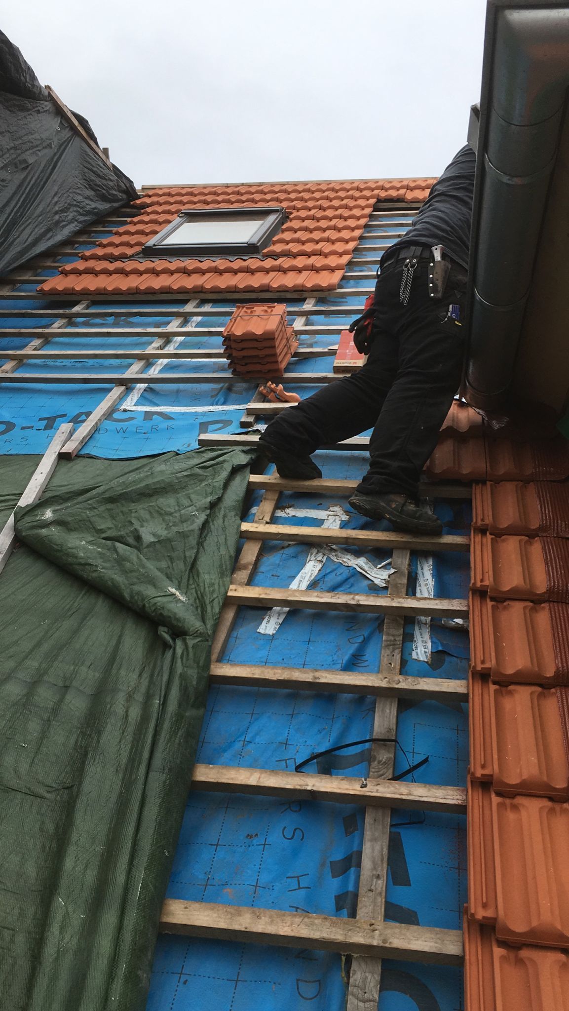 Dachdecker auf Leiter beim Austausch von Dachziegeln; blaue Unterlage und rote Ziegel sichtbar.