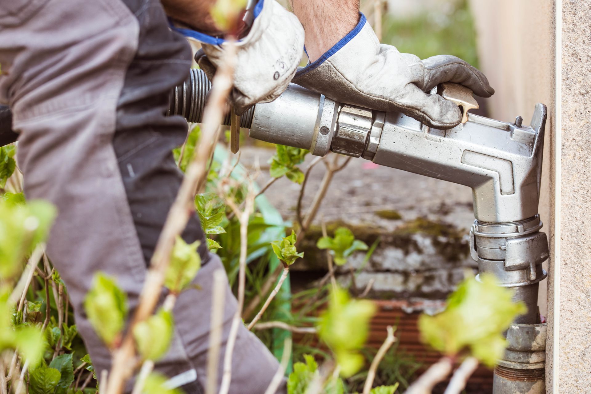 Livraison de fioul pour l'hiver avec des végétaux au premier plan
