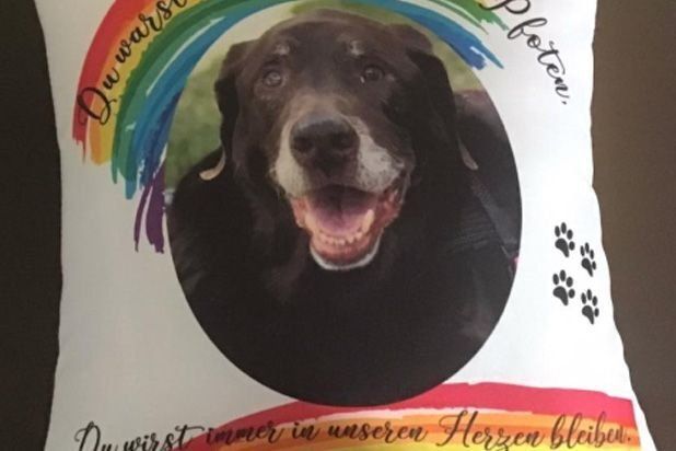 Bedrucktes Kissen vom Flock-Druck-Service Feustel