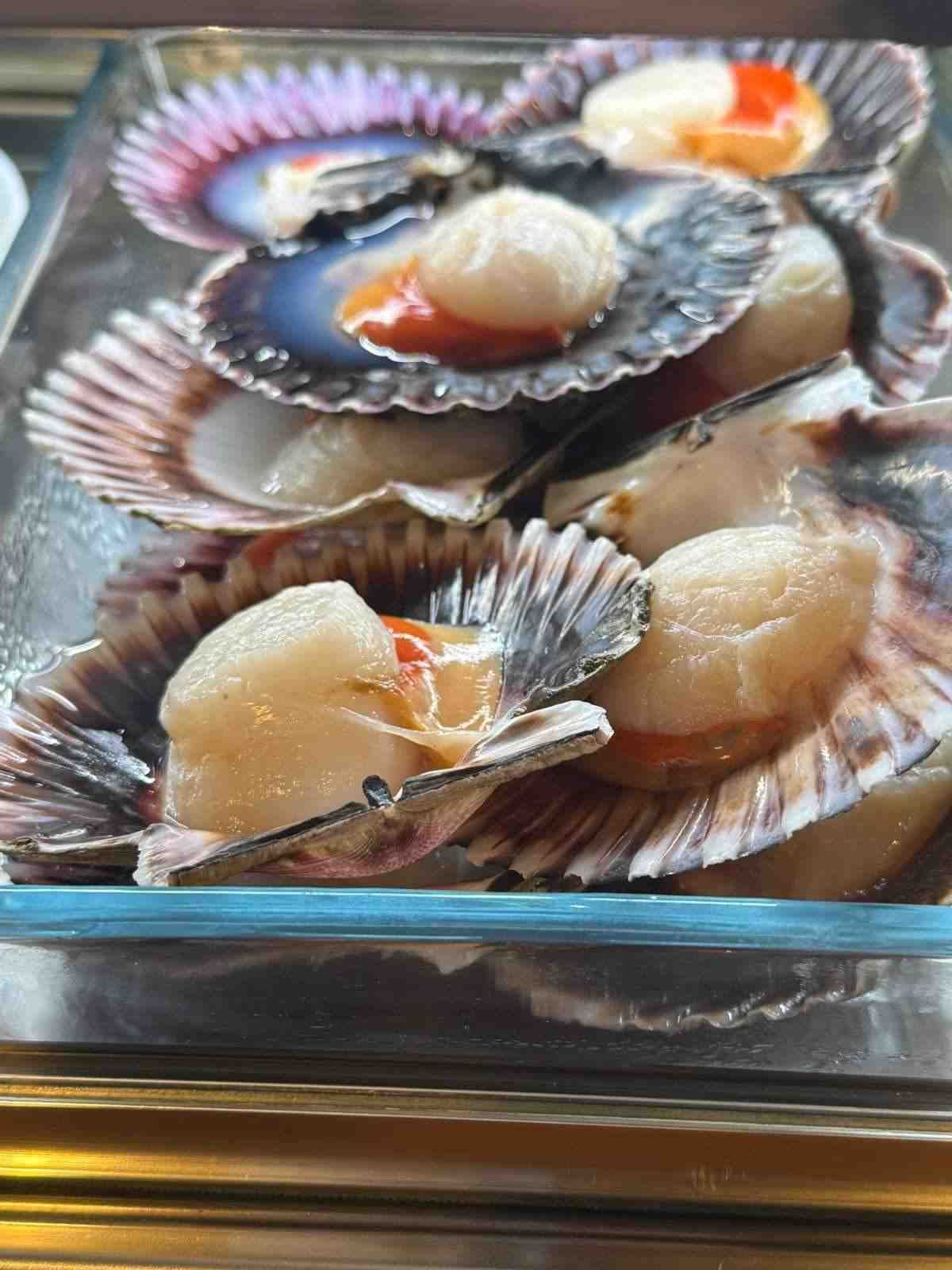 Vieiras en concha en exposición; carne de color crema con huevas anaranjadas.