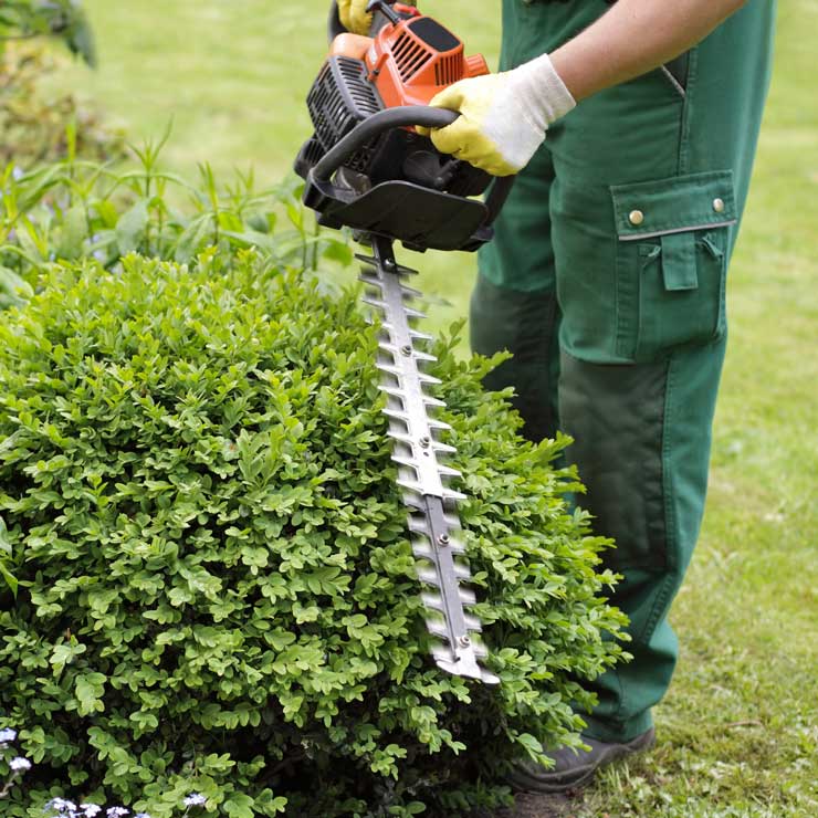 Création de bordures de jardin à Caen - Paysagiste à Caen