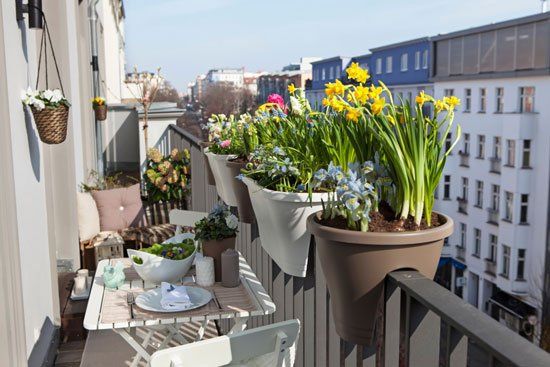 Balcon d'appartement avec des jardinières fleuries
