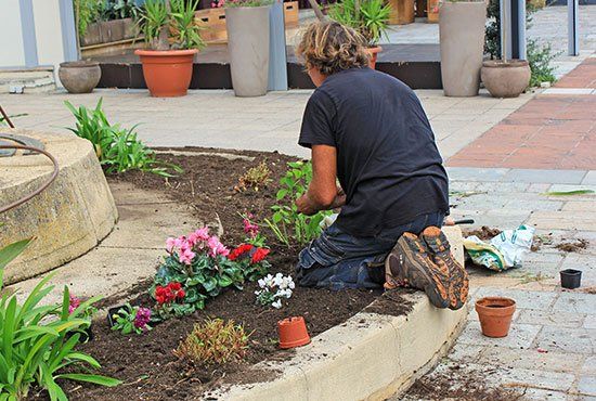 Paysagiste qui crée un parterre de fleurs pour un monument