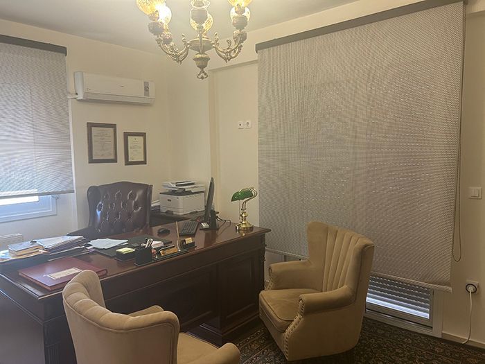 Δήμητρα Ι.Παπασταματίου
