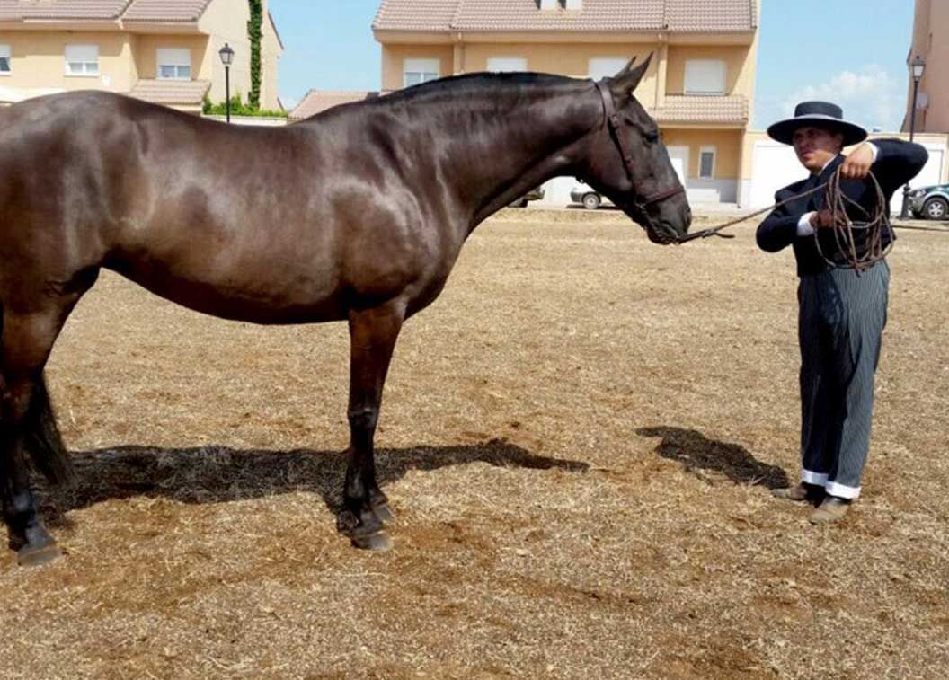 Un hombre con sombrero está de pie junto a un caballo marrón.