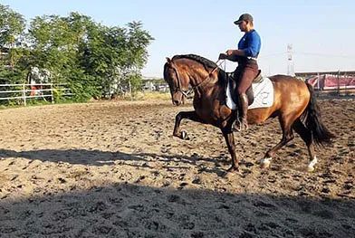 Un hombre monta un caballo marrón en un campo de tierra.