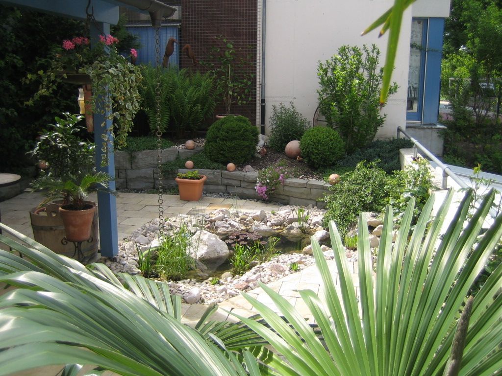 Gestaltung von Minigärten in Eglisau: platzsparend und ästhetisch.