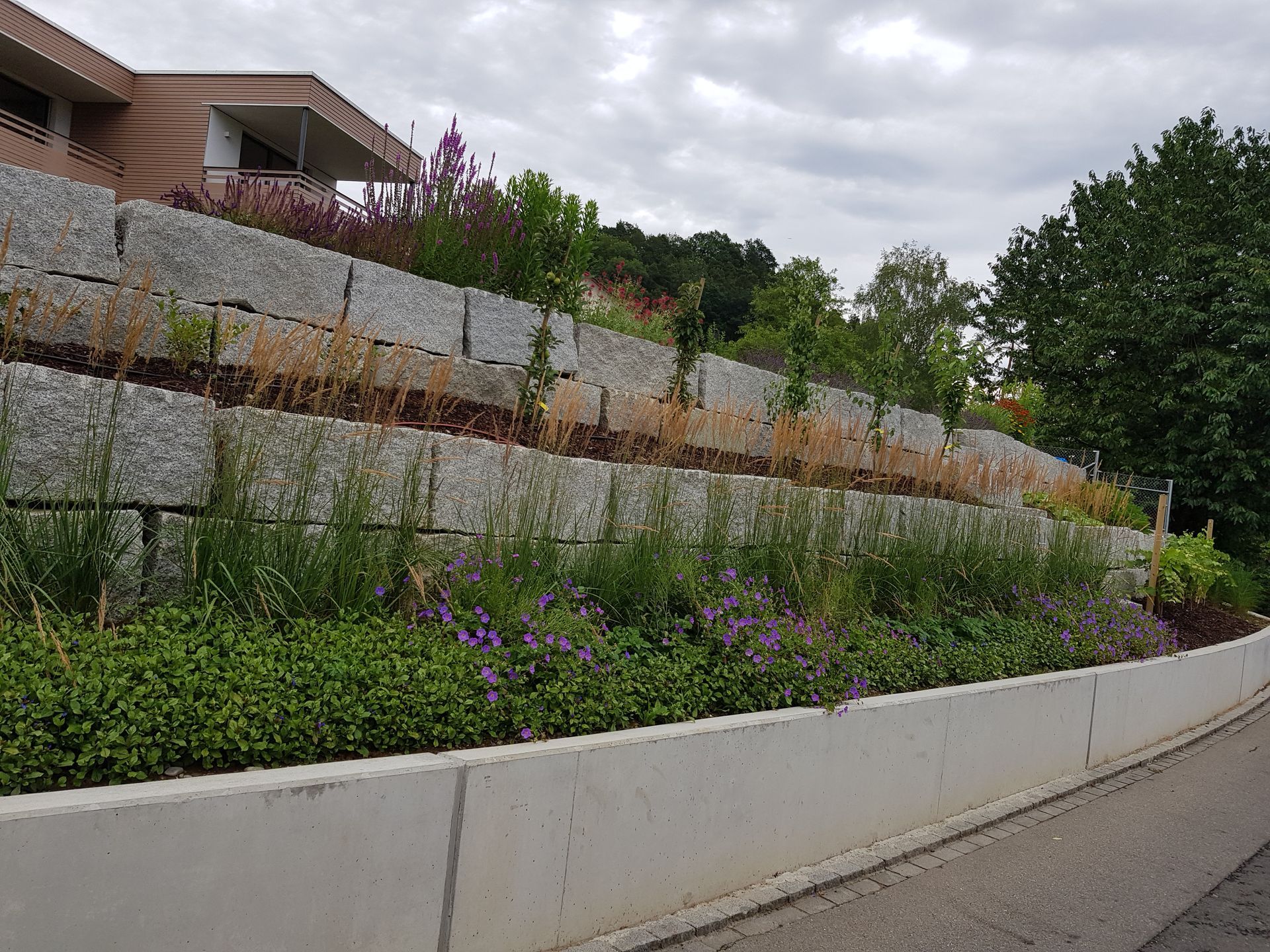 Professioneller Sichtschutz in Neftenbach für mehr Privatsphäre.