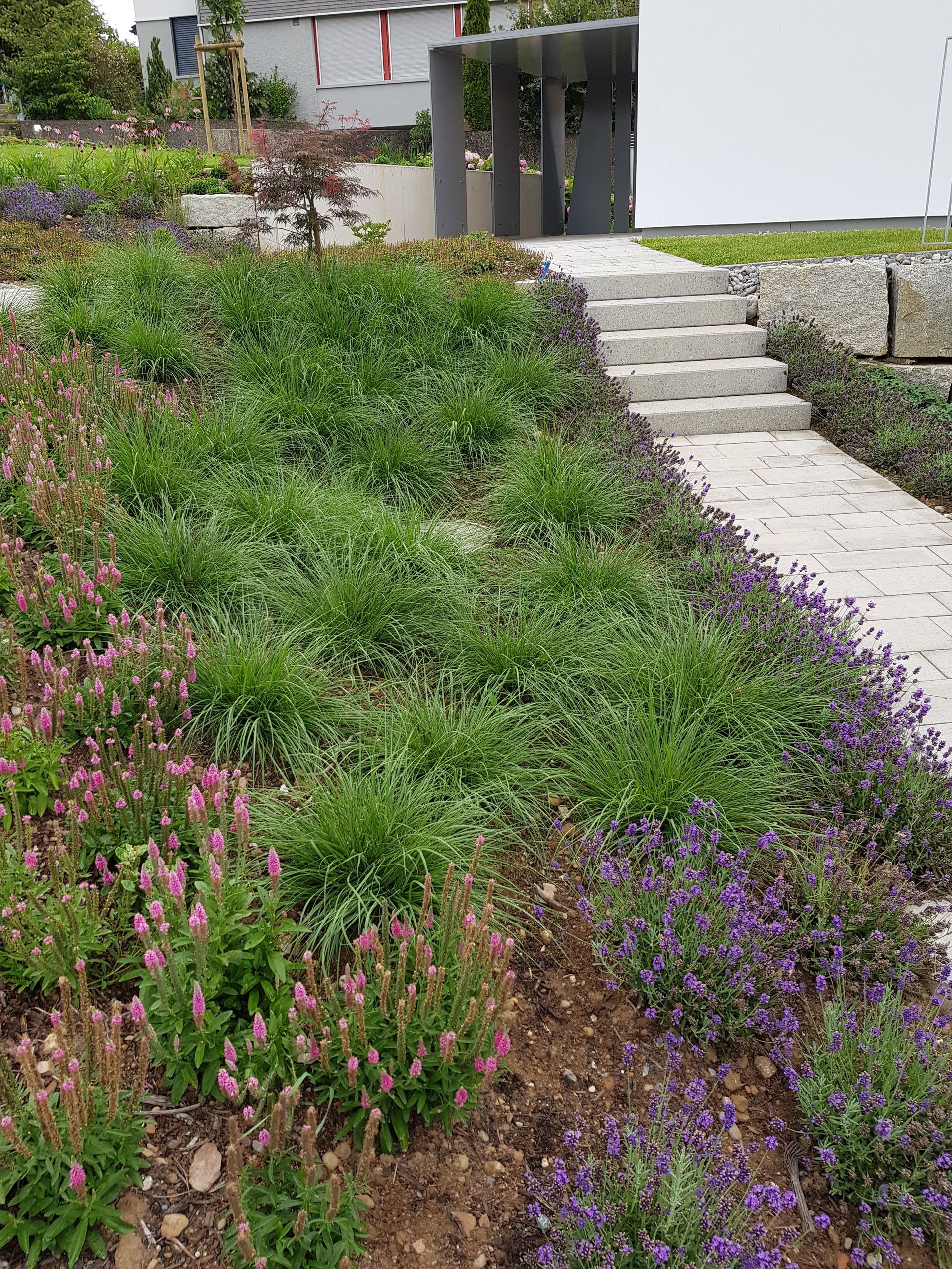 Blühender Garten in Regensdorf nach professionellem Gartenbau.