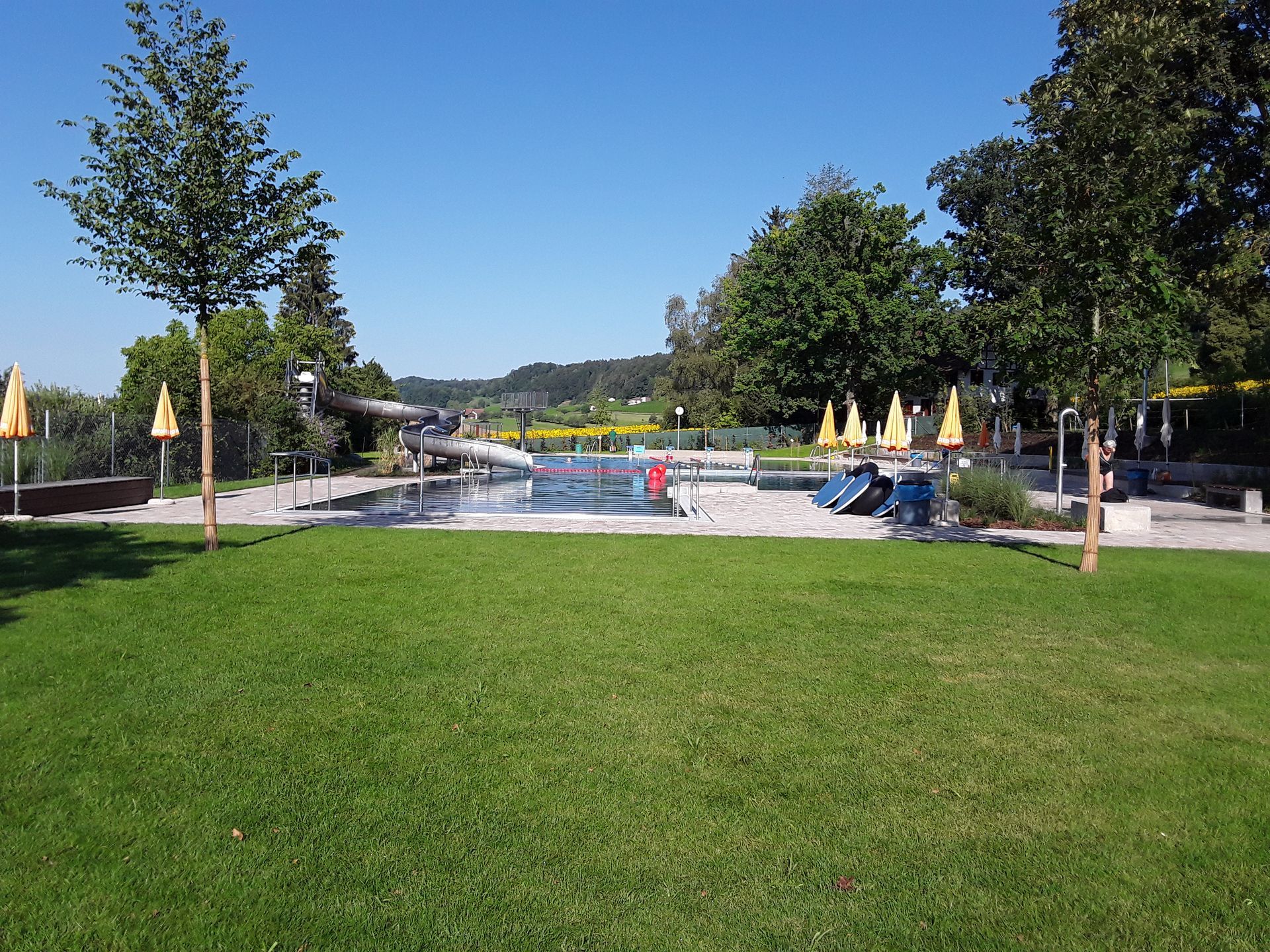 Anlage von Biotopen und Teichen in Dachsen: natürliche Wasserlandschaften.