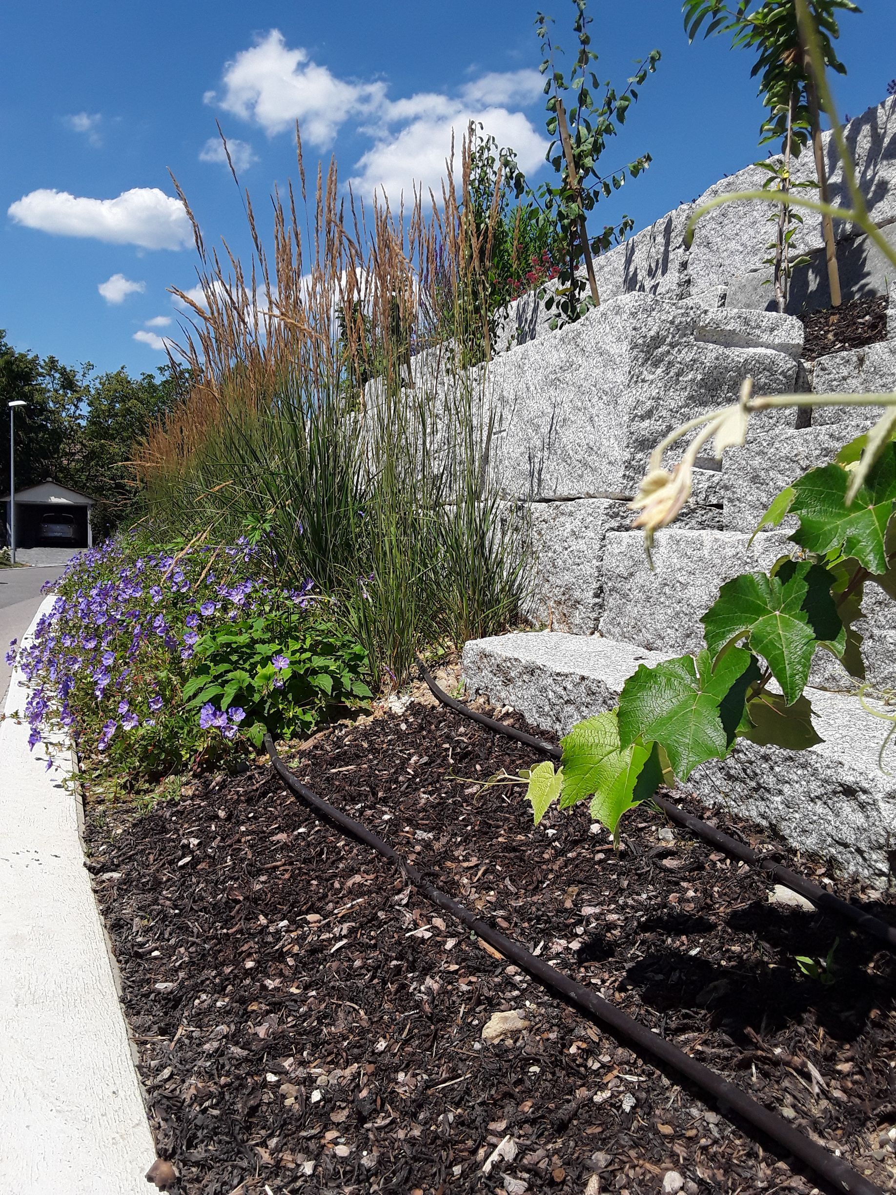 Kreative Gartenbauprojekte in Dielsdorf für individuelle Bedürfnisse.