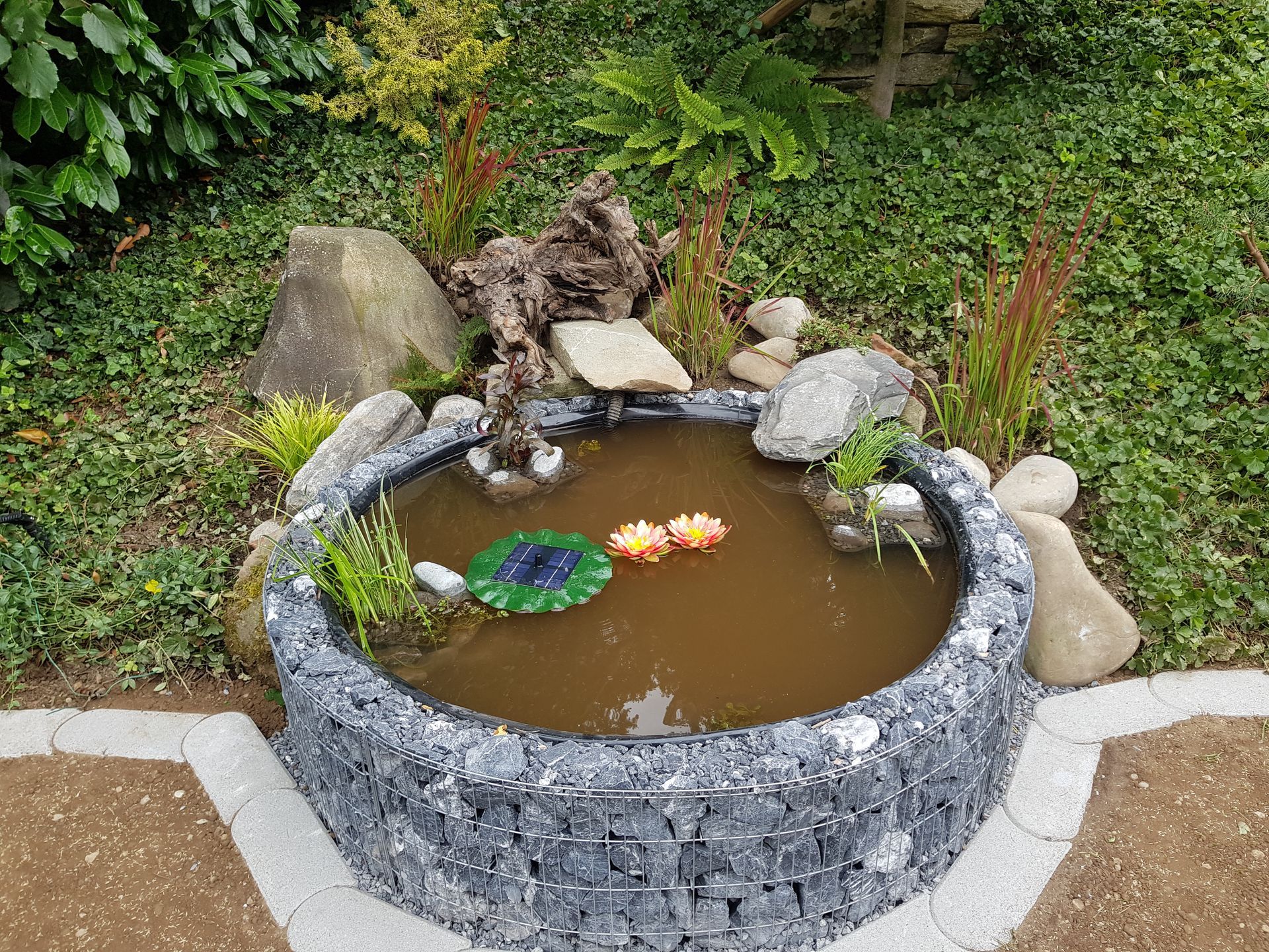 Biotope und Teiche in Eglisau: natürliche Wasserwelten.