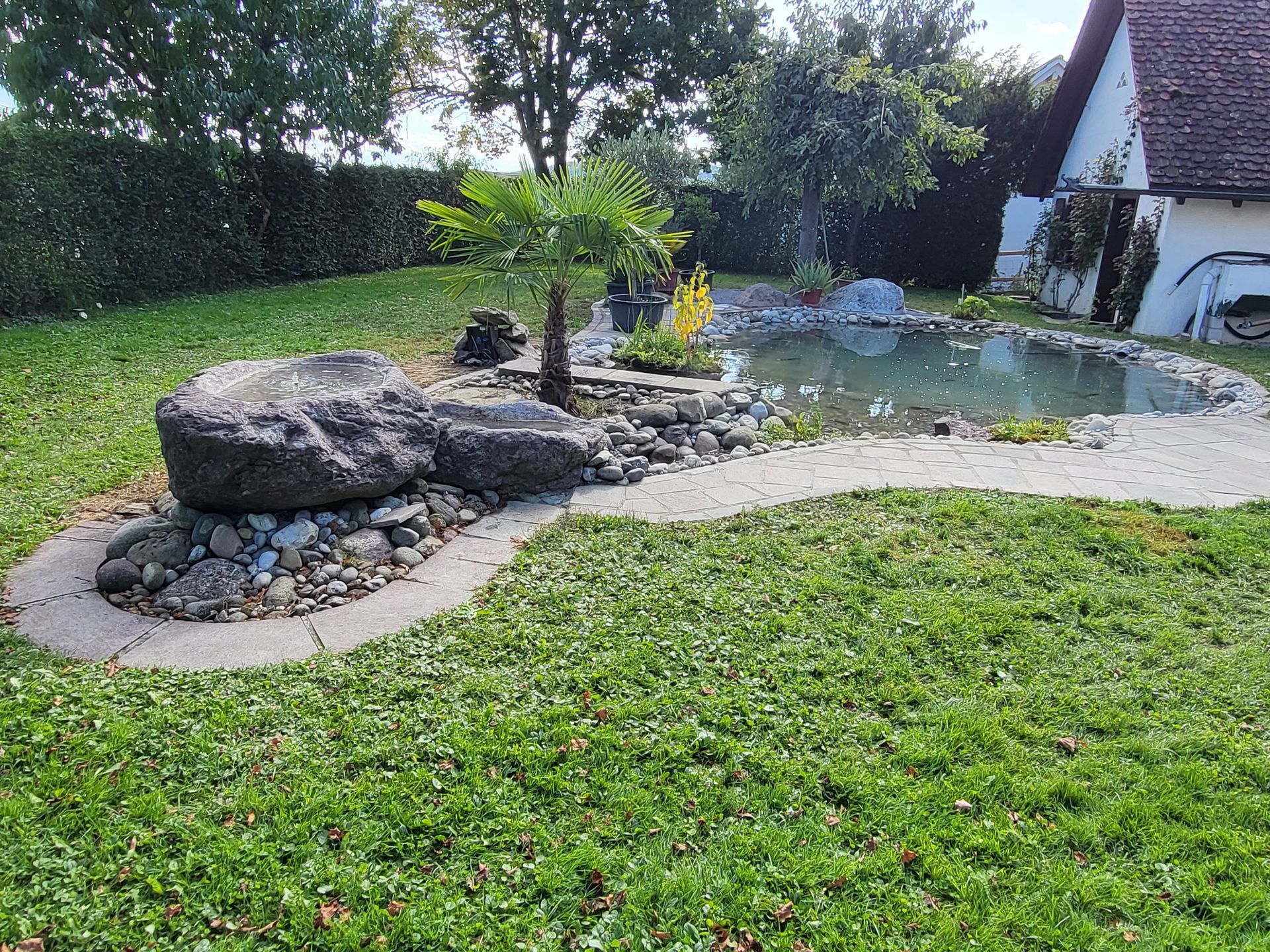 Biotop Teich Trais Fluors Gartenbau Kloten