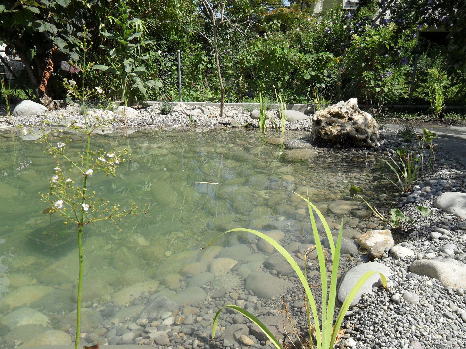 Kreative Minigärten in Schaffhausen für kleine Flächen.