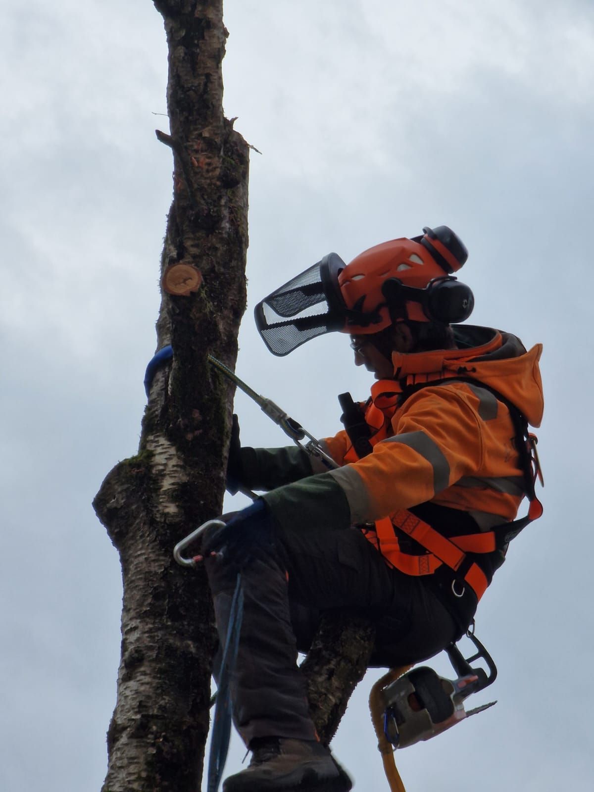 Kreative Gartengestaltung in Bülach mit modernen Elementen.