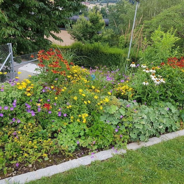 Trais Fluors Gartenbau Minigarten Zürich