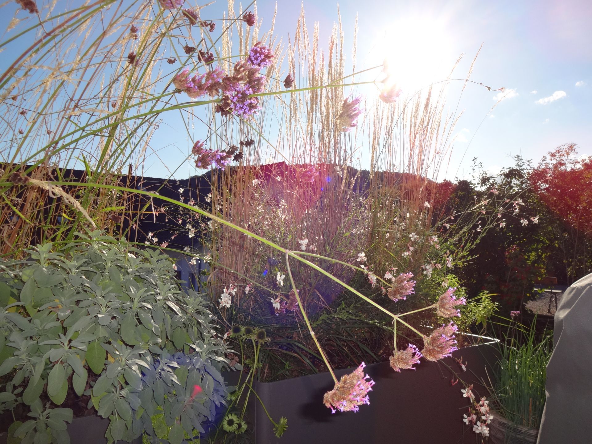 Trais Fluors Gartenbau Kloten