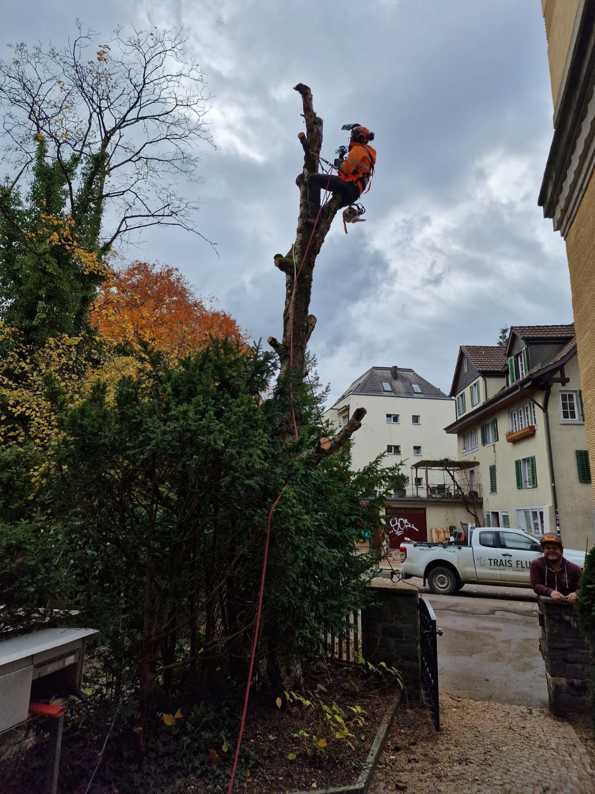 Gartenbau mit Liebe zum Detail und kreativen Ideen in Marthalen.