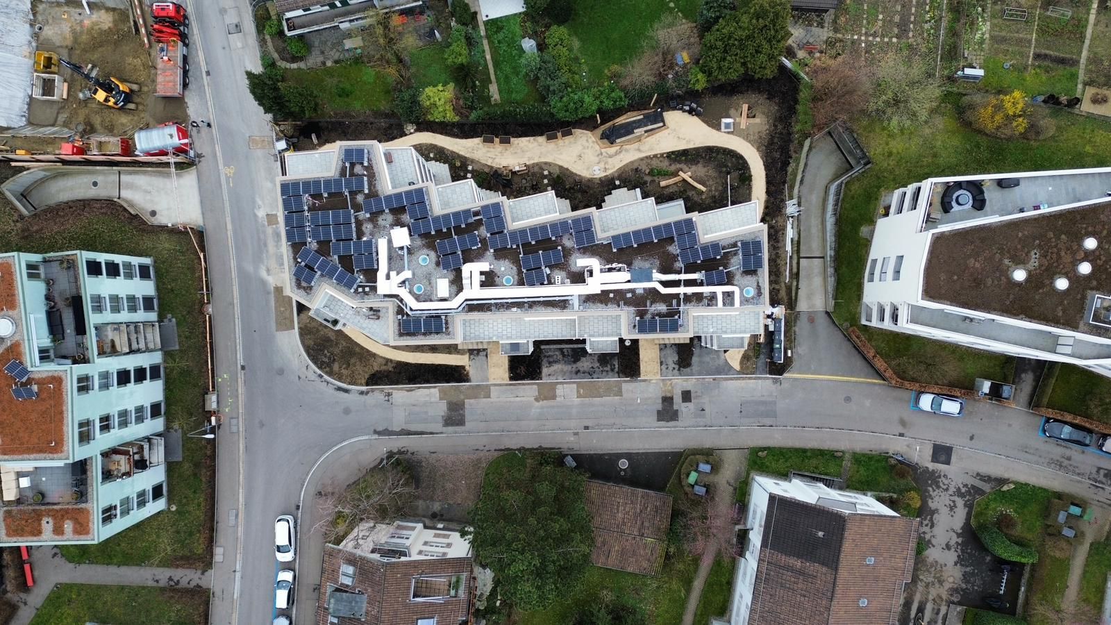 Gartenneugestaltung in Wil ZH mit neuen Pflanzen und Strukturen.