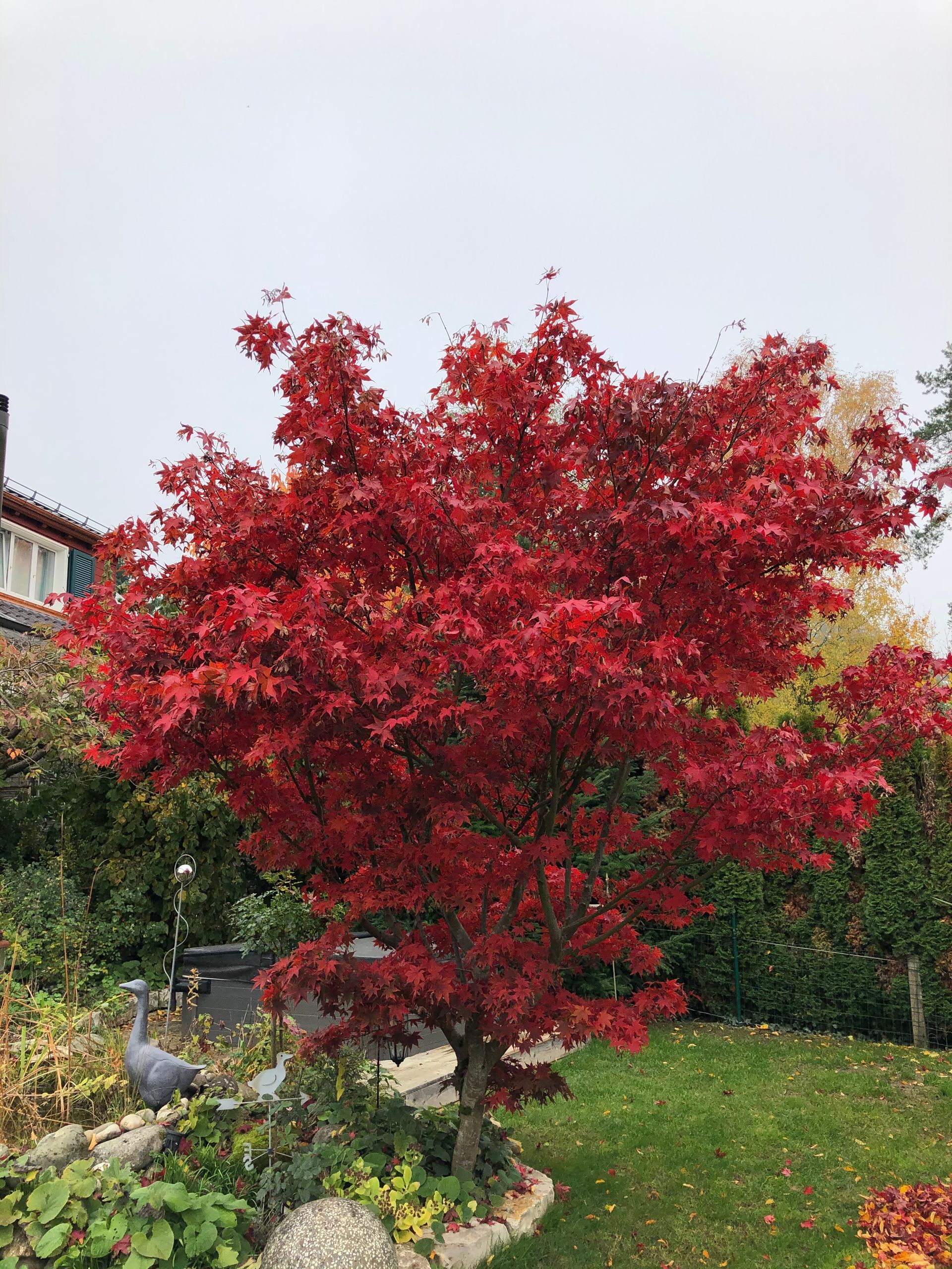 Trais Fluors Gartenbau Hüntwangen
