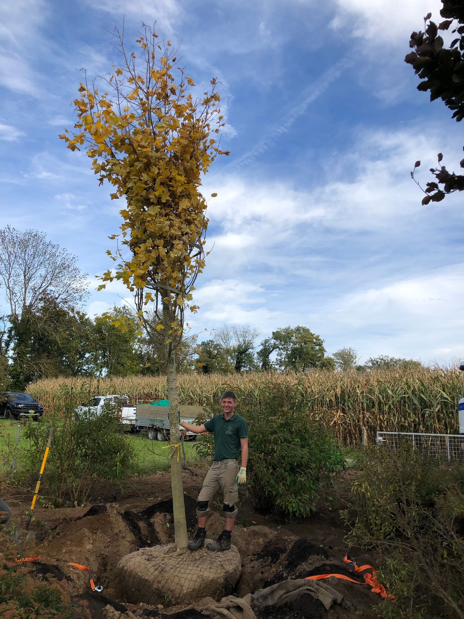 Pflegeleicht gestalteter Garten in Henggart durch erfahrene Gärtner.