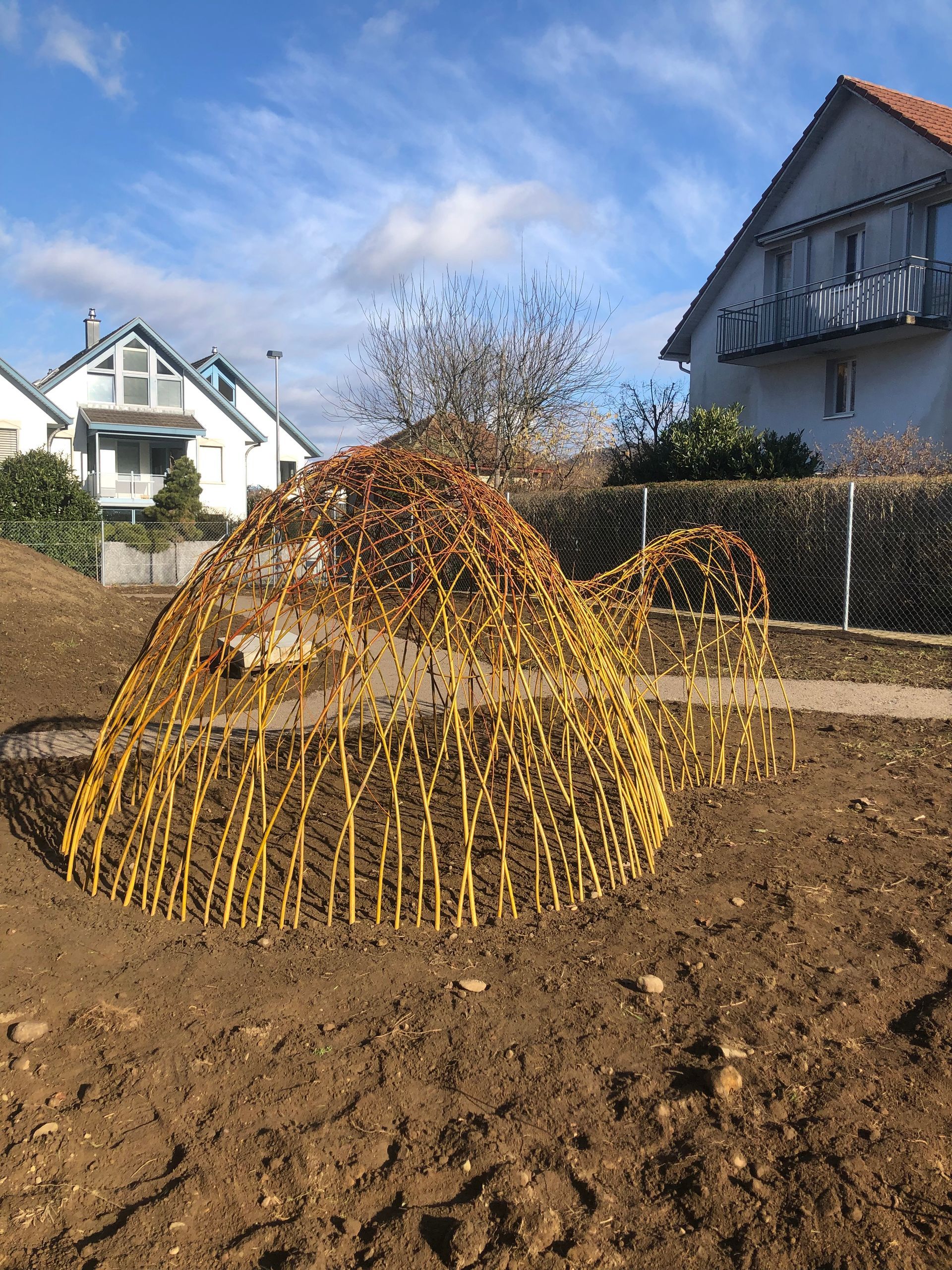 Vielfältige Pflanzenarrangements im Rahmen des Gartenbaus in Neftenbach.