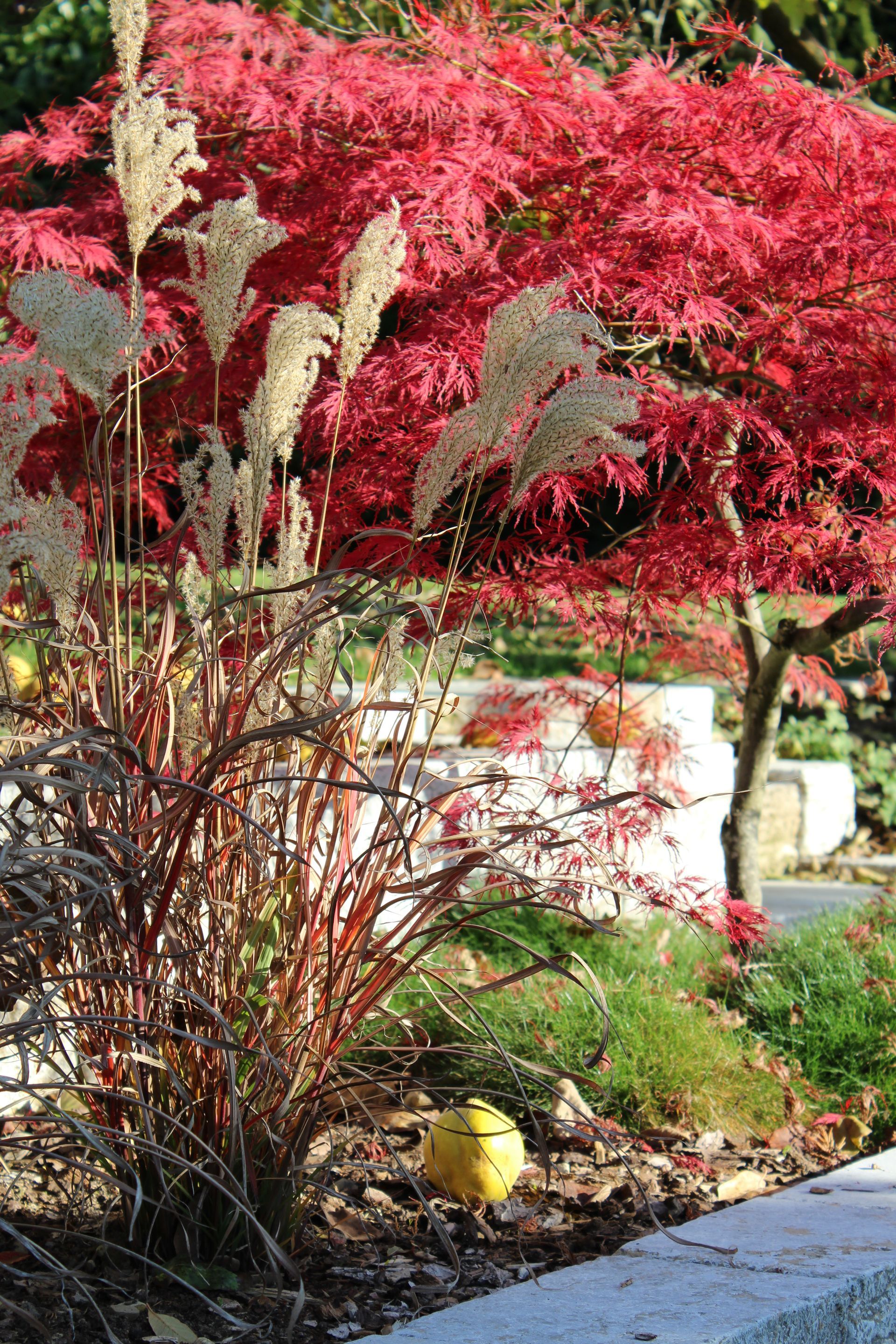 Gartenbau Embrach Trais Fluors Gartenbau