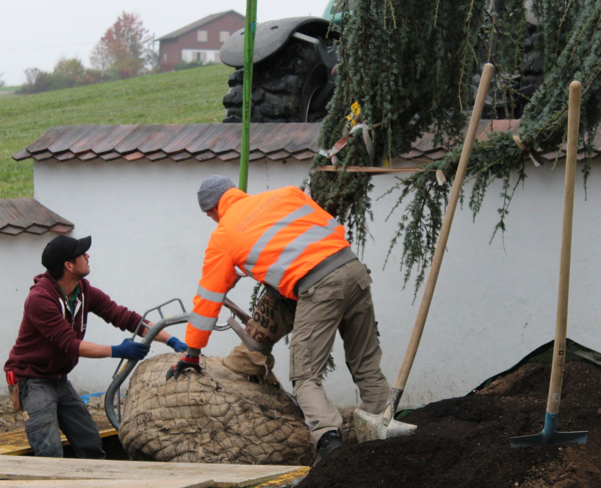 Vielfältige Pflanzen und Blumen in Henggart, Gartenbau vom Fachmann.