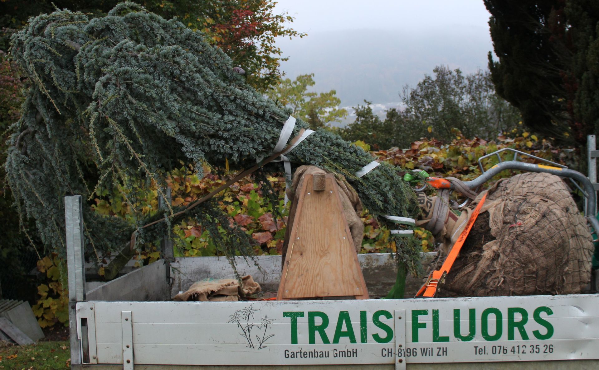Gartenbauprojekte in Bülach für private und gewerbliche Kunden.