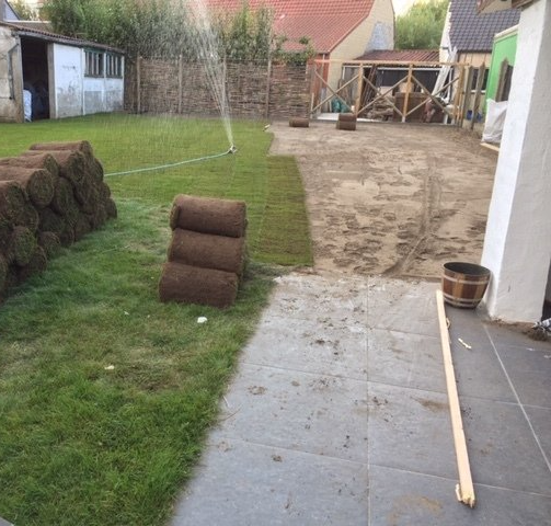 Tuin met bamboe