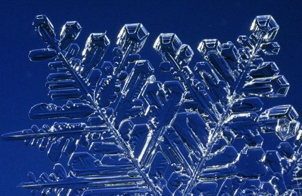 Transport de marchandises