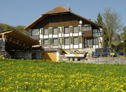 Gasser Gartengestaltung