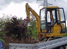 Gasser Gartengestaltung