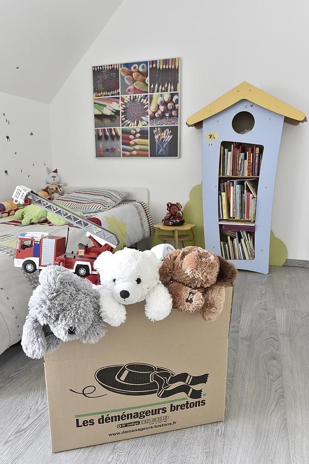 Des peluches sur un carton