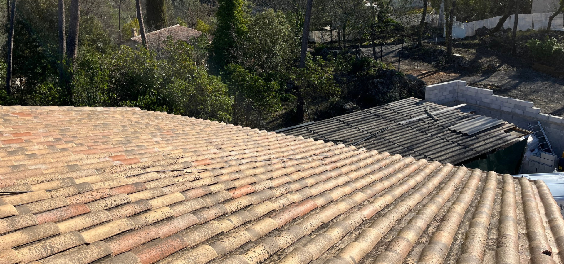 Un gros plan d'un toit de tuiles avec des arbres en arrière-plan.