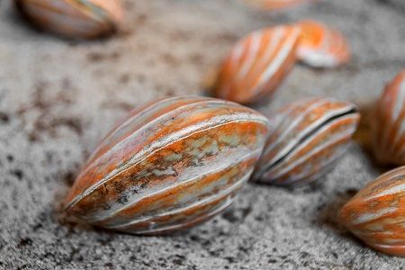 Lava Shells Massage Rücken