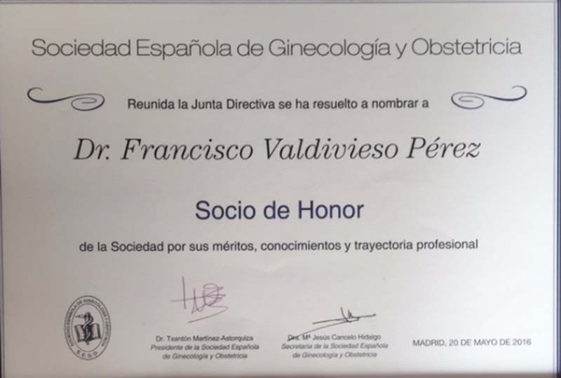 A certificate from the sociedad espanola de ginecologia y obstetricia