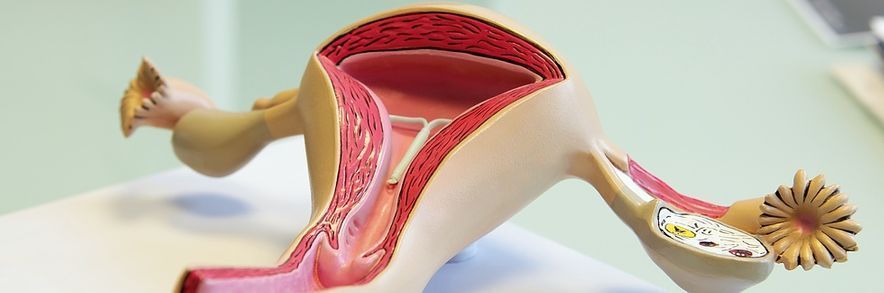 Cabinet Noth-Vallotton - Lausanne