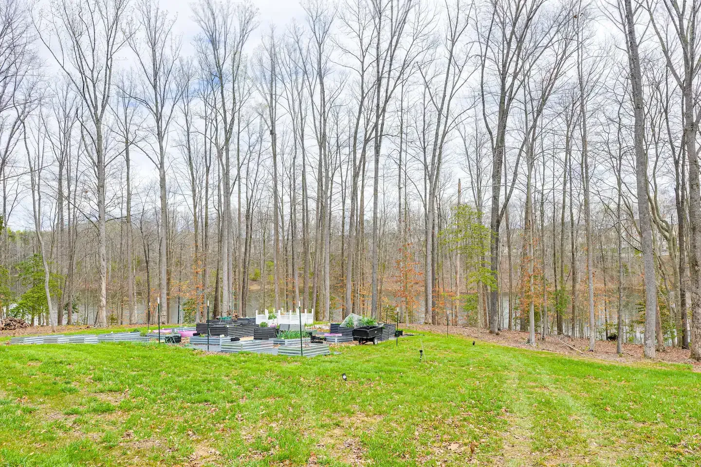 A lush green field surrounded by trees on a cloudy day.