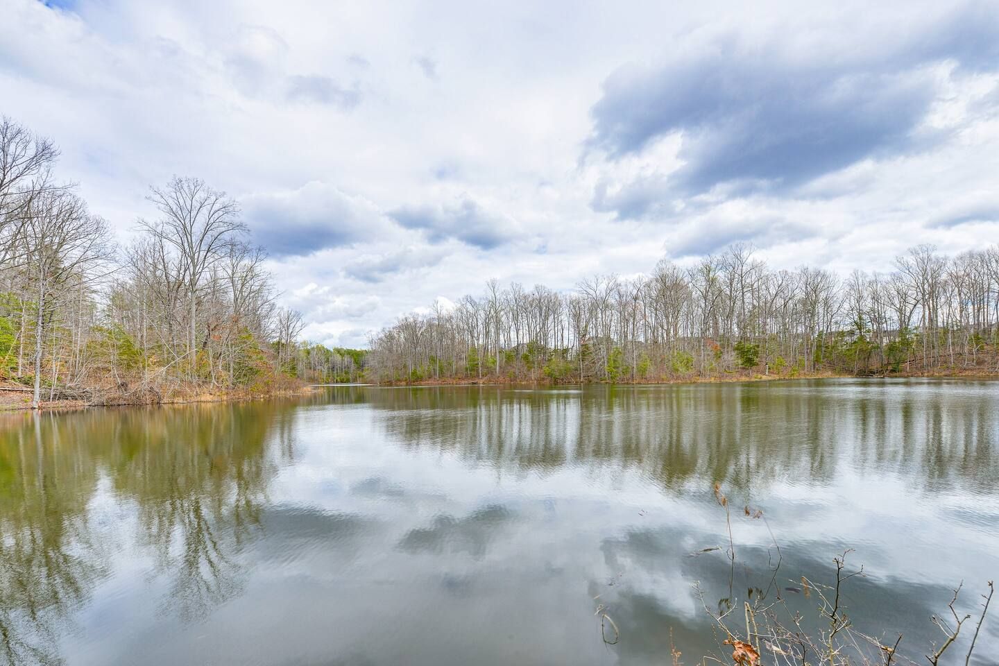 A large body of water surrounded by trees on a cloudy day.