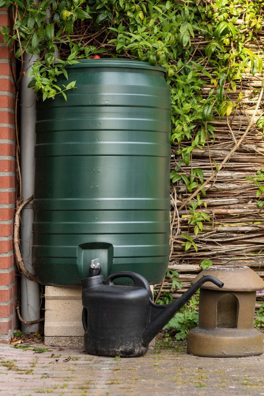 Un récupérateur d'eau de pluie vert est placé à côté d'un mur de briques, avec un arrosoir noir et une mangeoire à oiseaux.