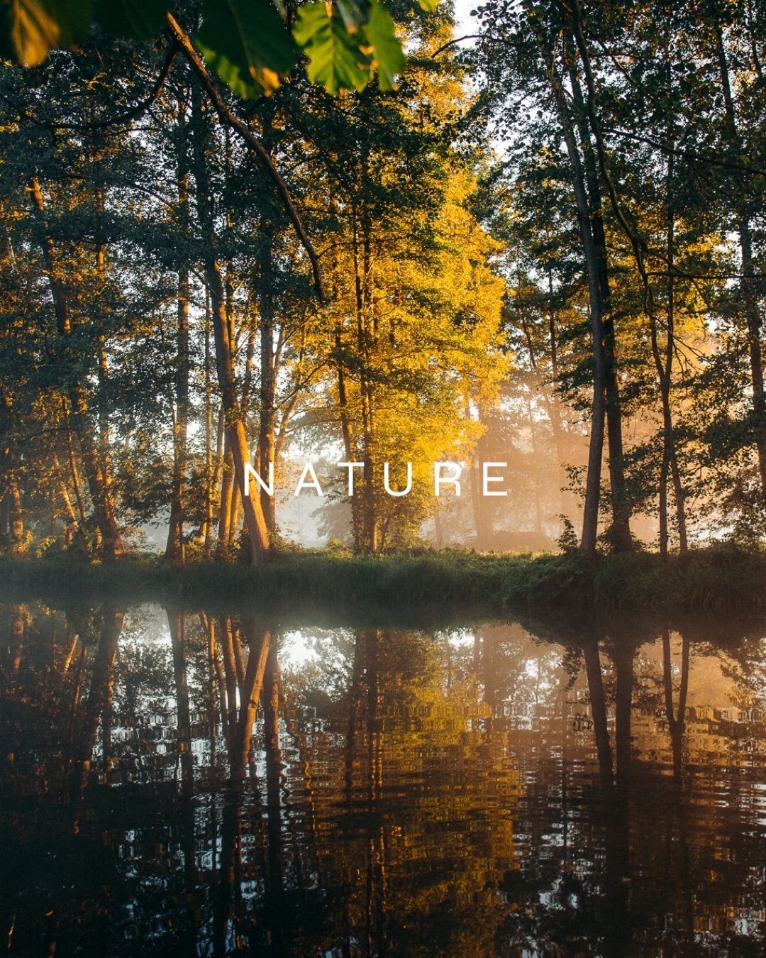 Ein von Bäumen umgebener See mit dem Wort „Natur“ darüber