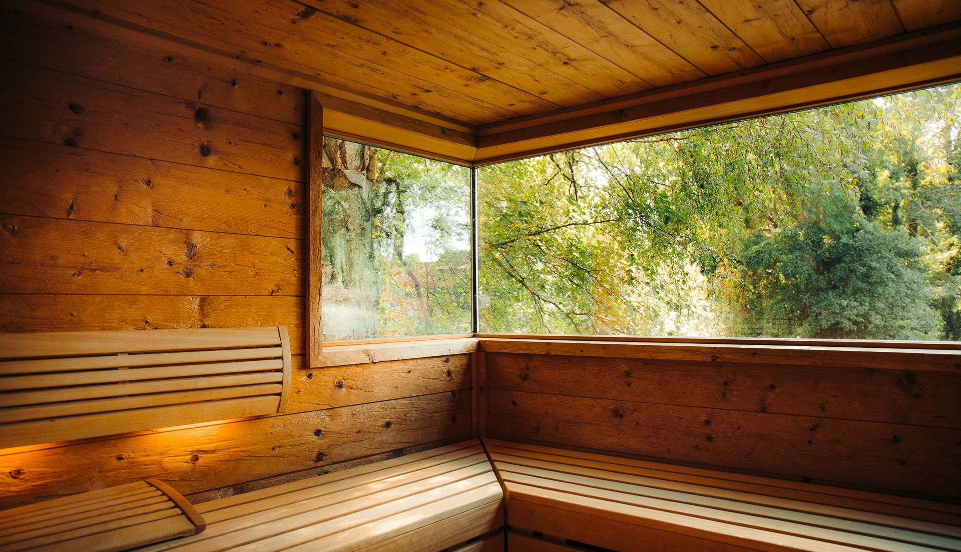 Eine Holzsauna mit einem großen Fenster mit Blick auf einen Wald.