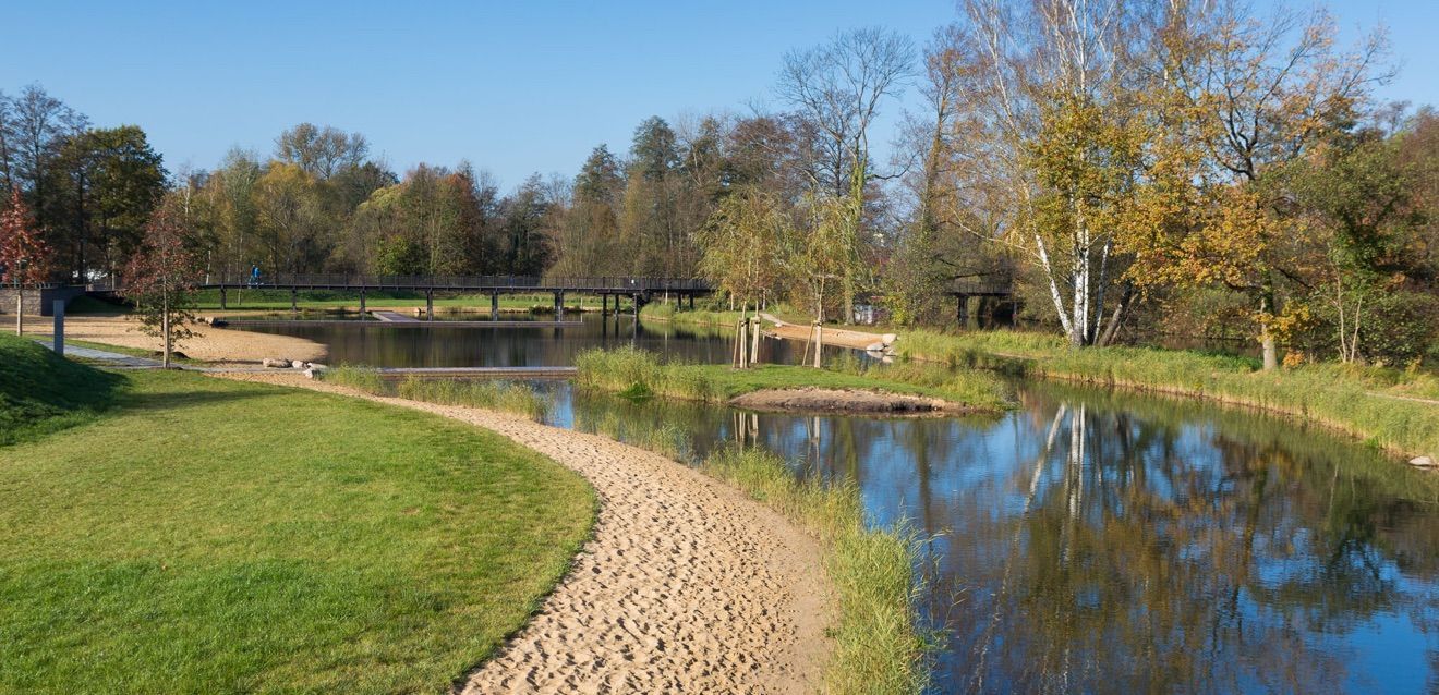 Ein Weg, der zu einem See in einem Park führt