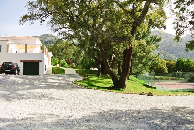 Private driveway with garage and old oak tree, free parking on site
