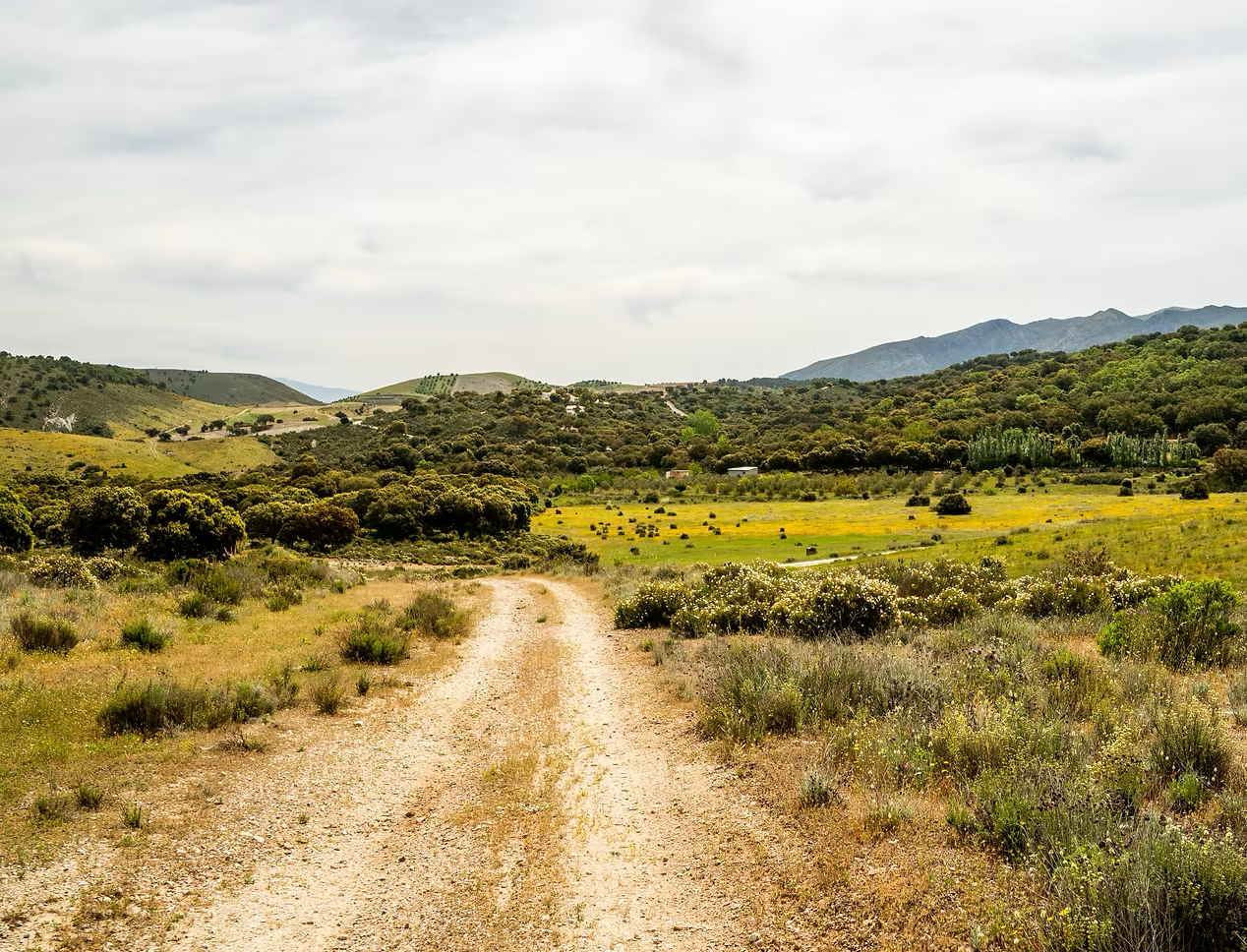 Country track through the Andalusian countryside, perfect for hiking and biking